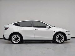 Tesla Model Y Rear-Wheel Drive - ფოტო 12
