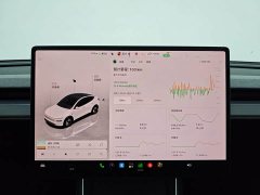 Tesla Model Y Rear-Wheel Drive - ფოტო 18
