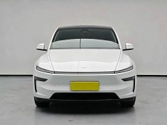 Tesla Model Y Rear-Wheel Drive - ფოტო 2