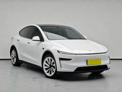Tesla Model Y Rear-Wheel Drive - ფოტო 3