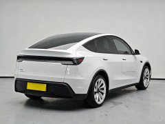 Tesla Model Y Rear-Wheel Drive - ფოტო 4