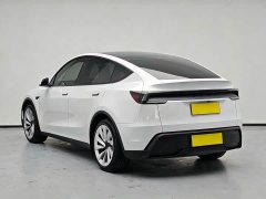 Tesla Model Y Rear-Wheel Drive - ფოტო 5