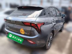 Neta V Trend 300 Lite Ternary Lithium - фото 4