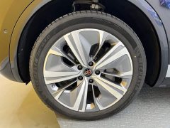 FAW Red Flag E-HS9 660km Range Flagship Edition Six-Seater - ფოტო 7