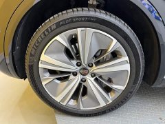 FAW Red Flag E-HS9 690km Range Flagship Edition Six-Seater - ფოტო 7