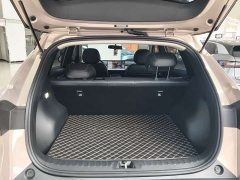Changan Qiyuan Q05 405Air - ფოტო 16