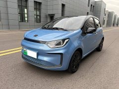Flower Fairy 302km Luxury 30.2kWh - photo 1