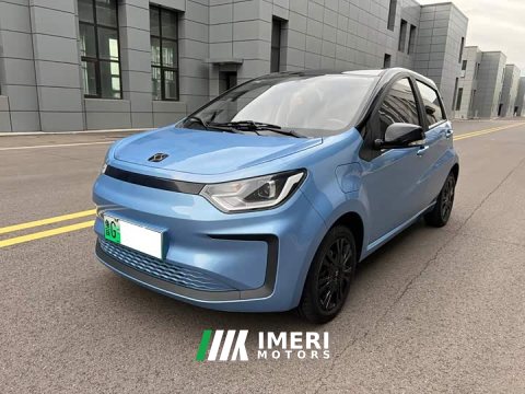 2021 Flower Fairy 302km Luxury 30.2kWh - car from China