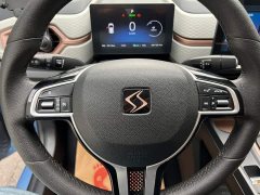 Flower Fairy 302km Luxury 30.2kWh - photo 13