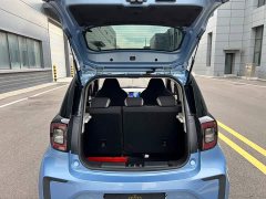 Flower Fairy 302km Luxury 30.2kWh - photo 15