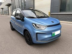 Flower Fairy 302km Luxury 30.2kWh - photo 3