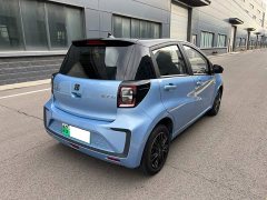 Flower Fairy 302km Luxury 30.2kWh - photo 4
