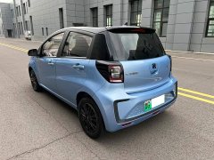 Flower Fairy 302km Luxury 30.2kWh - photo 5