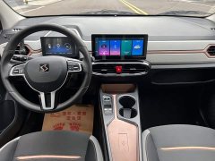 Flower Fairy 302km Luxury 30.2kWh - photo 8