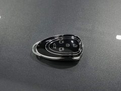 Great Wall WEY Shanshan New Energy Four-Wheel Drive Executive Extended Version - ფოტო 19