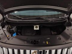 Great Wall WEY Shanshan New Energy Four-Wheel Drive Executive Extended Version - ფოტო 6