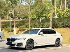 BMW 5 Series 530Li Luxury M Sport Package - ფოტო 1