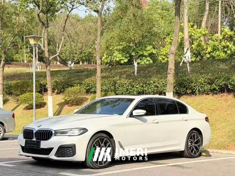 2021 BMW 5 Series 530Li Luxury M Sport Package - ავტომობილი ჩინეთიდან
