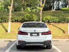 BMW 5 Series 530Li Luxury M Sport Package - ფოტო 8