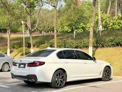 BMW 5 Series 530Li Luxury M Sport Package - ფოტო 9