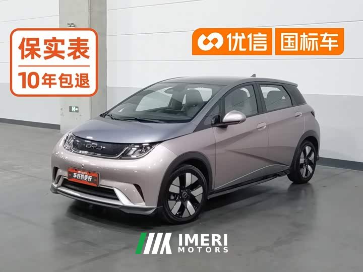 BYD Dolphin 401km Knight Edition - автомобиль из Китая
