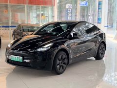 Tesla Model Y Rear-Wheel Drive - photo 1