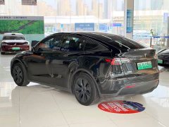 Tesla Model Y Rear-Wheel Drive - photo 6