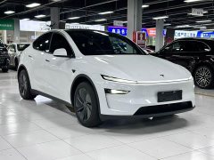 Tesla Model Y Rear-Wheel Drive Edition - photo 2