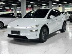 Tesla Model Y Rear-Wheel Drive Edition - photo 3