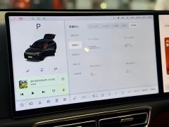Li Auto L7 Max - ფოტო 7