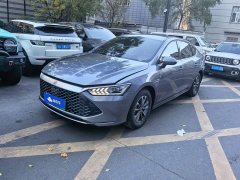 BYD Qin PLUS Glory Edition DM-i 55KM Leading - фото 1