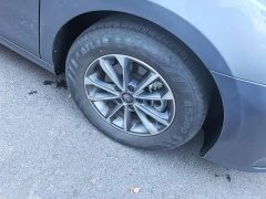 BYD Qin PLUS Glory Edition DM-i 55KM Leading - фото 6