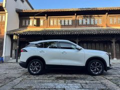 Qoros 7 1.8T Luxury Version - ფოტო 5