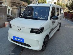 Wuling Zhiguang New Energy 201km Standard - ფოტო 1