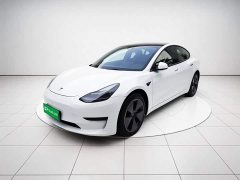 Tesla Model 3 Standard Range RWD Upgrade 3D6 - photo 1