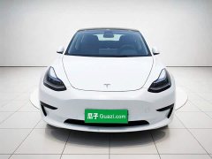 Tesla Model 3 Standard Range RWD Upgrade 3D6 - photo 2