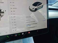 Tesla Model 3 Standard Range RWD Upgrade 3D6 - photo 8