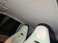 Wuling Hongguang MINIEV Zizai Edition LFP Battery - ფოტო 14