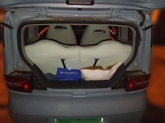 Wuling Hongguang MINIEV Zizai Edition LFP Battery - ფოტო 15