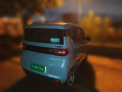 Wuling Hongguang MINIEV Zizai Edition LFP Battery - ფოტო 4