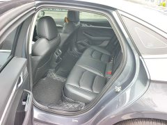 Geely Xingrui 2.0T Diesel Luxury Plus - фото 11