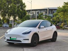Tesla Model Y Rear-Wheel Drive - photo 1