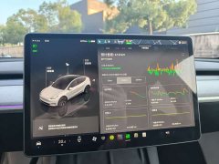Tesla Model Y Rear-Wheel Drive - photo 16