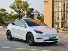 Tesla Model Y Rear-Wheel Drive - photo 3