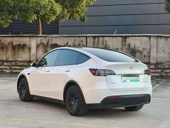 Tesla Model Y Rear-Wheel Drive - photo 4