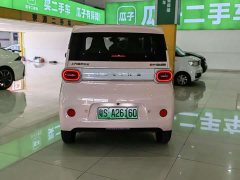 Wuling Hongguang MINIEV Third Generation 215km Youth Edition - photo 8
