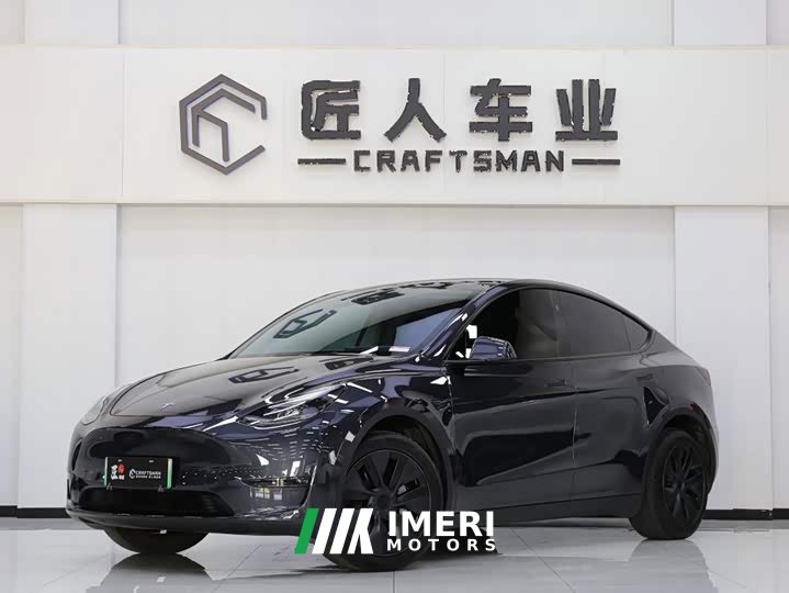 Tesla Model Y Long Range All-Wheel Drive - car from China