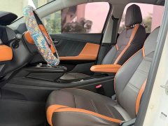 BYD e2 Luxury - ფოტო 4