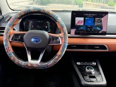 BYD e2 Luxury - ფოტო 7