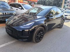 Tesla Model Y Standard Range RWD - photo 1